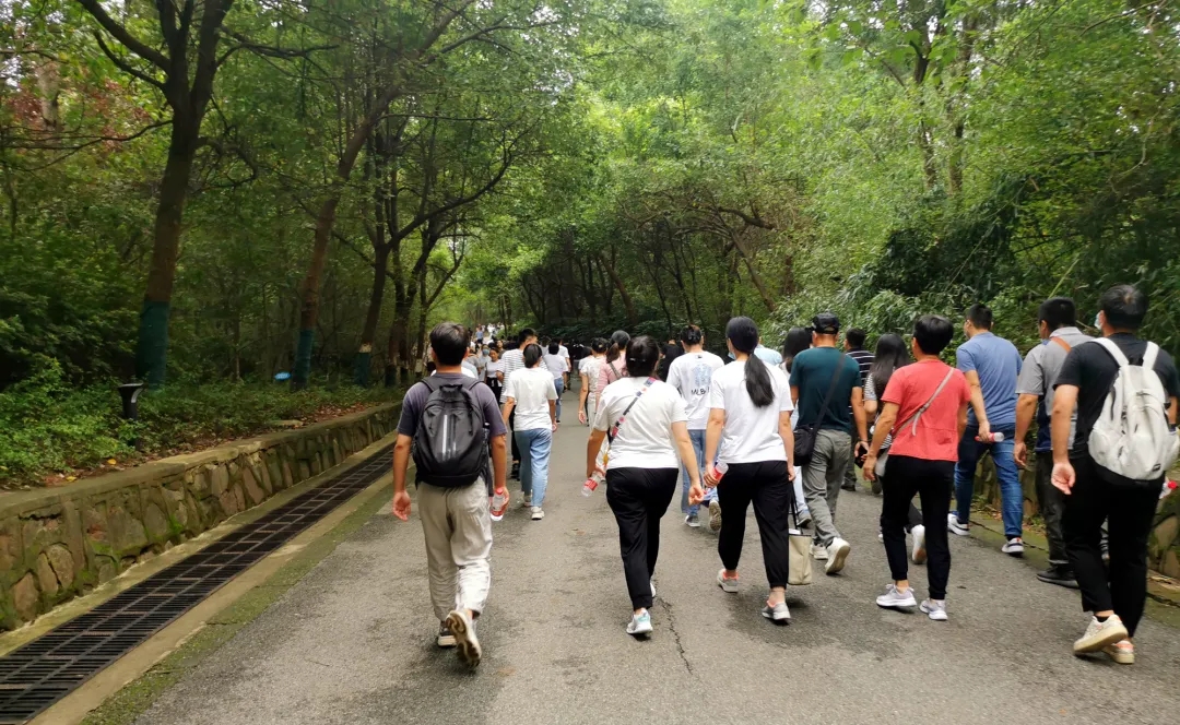 【動(dòng)態(tài)】認(rèn)真工作，快樂生活——智恒信科技六周年登山活動(dòng)圓滿落幕